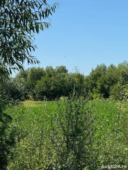 Teren de 2000 mp, în Hălchiu