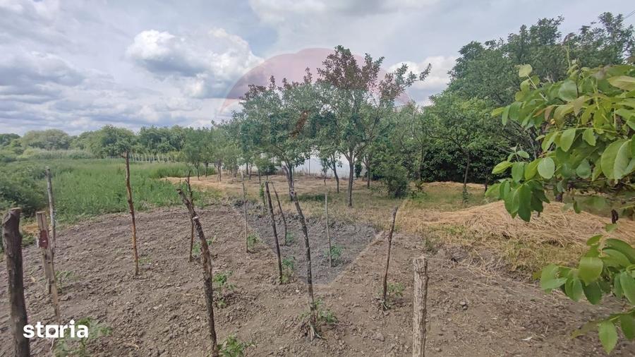 Casă cu 2 camere cu Teren 2221 Mp în Cefa