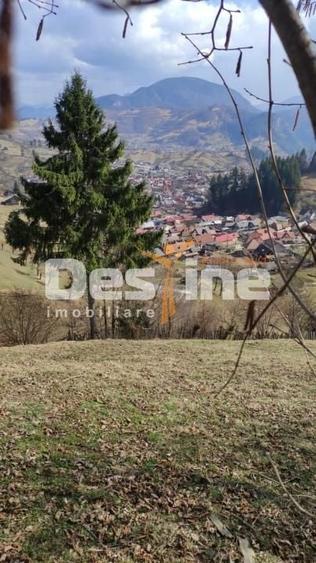 Teren agricol extravilan de 5000 mp, în Rucăr