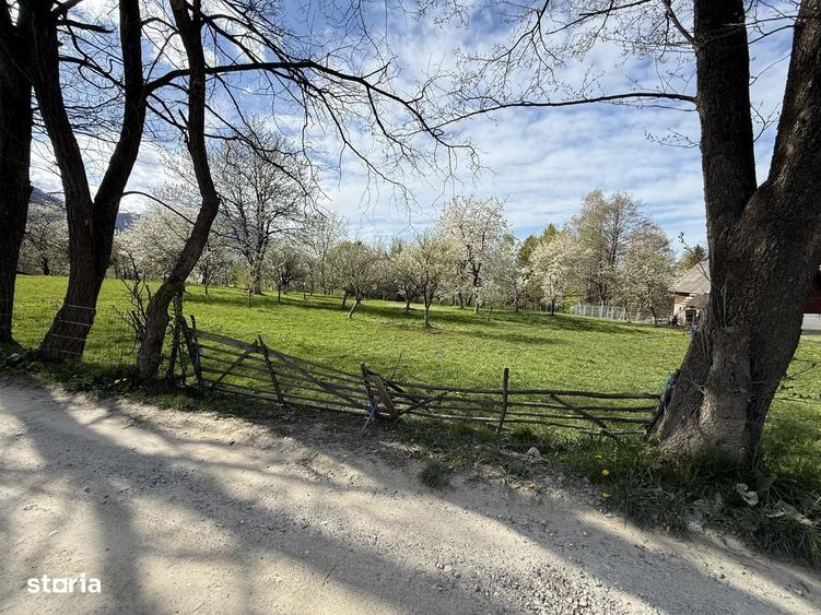 Teren intravilan 1355 mp in zona Bran, judetul Brasov - 4