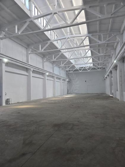 Spațiu industrial, în Mihai Bravu