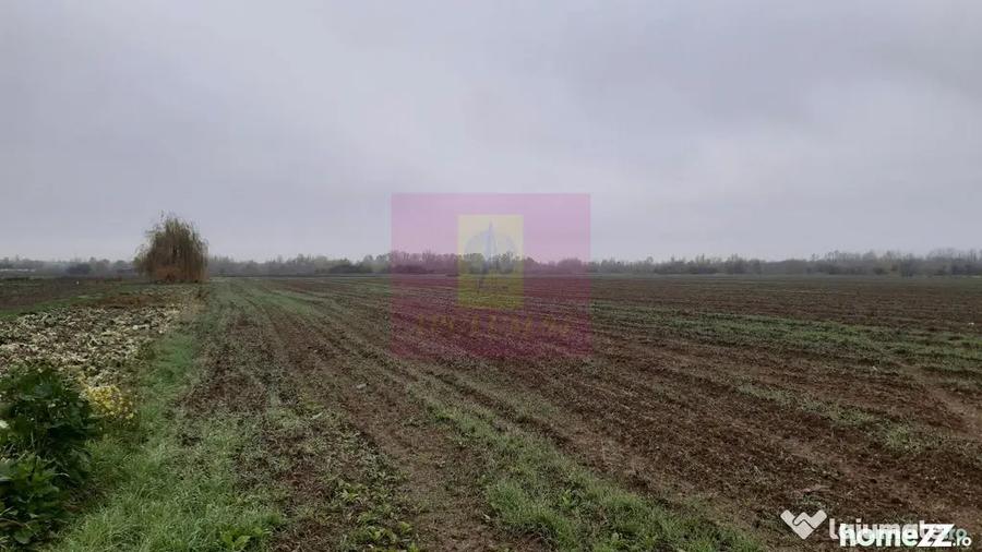 Teren Investi?ie aproape de Bucure?ti - 1 Decembrie (Bucuresti-Ilfov) - 2
