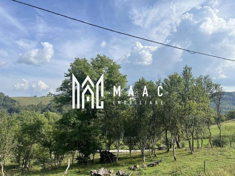 Teren Construcții intravilan de 14242 mp, în Sohodol