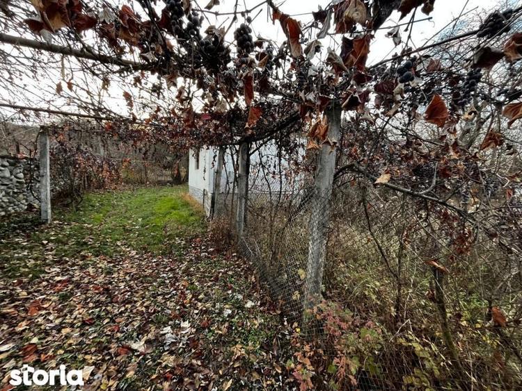 Casă cu 1 camere cu Teren 1341 Mp în Central