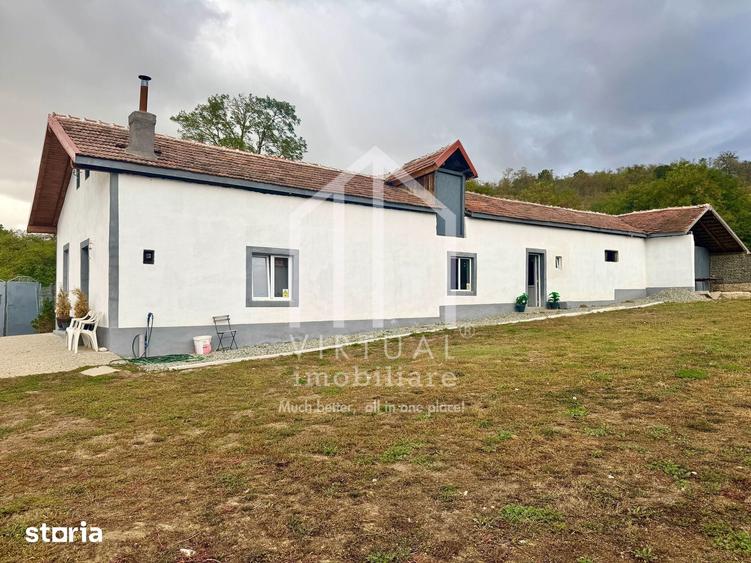 2 hale/depozite, 1850mp, deschidere 35m - Vestem - 4