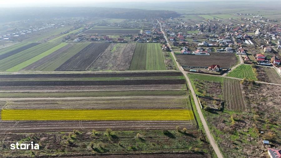 Teren de 10000 mp, în Tărtășești
