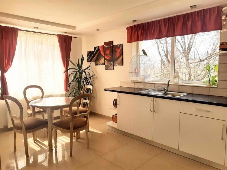 Casa + Afacere de vanzare - Corbeni Arges - 5