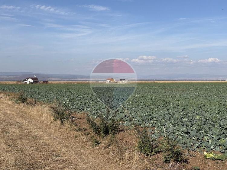 Teren agricol intravilan de 52410 mp, în Tărlungeni