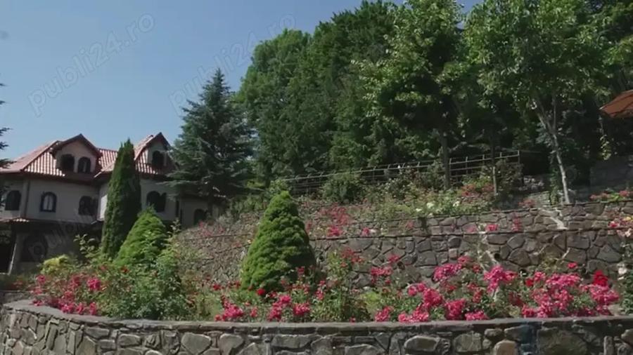 Casă cu 6 camere cu Teren 16500 Mp în Lunca Mare