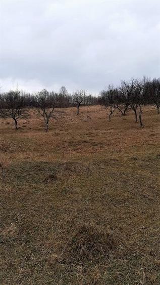 Teren agricol extravilan de 9826 mp, în Aluniș