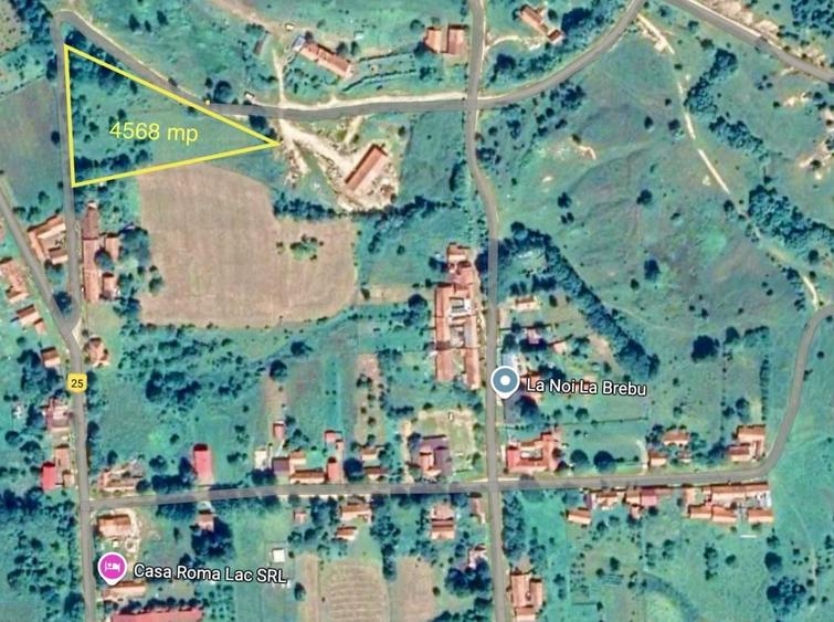 Teren Construcții intravilan de 4568 mp, în Brebu Nou