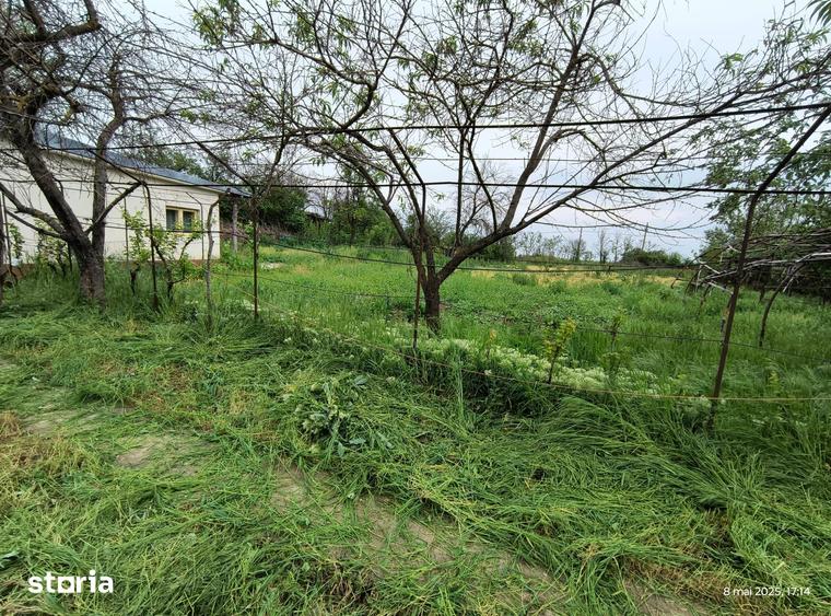 Casă cu 7 camere cu Teren 3040 Mp în Troianul