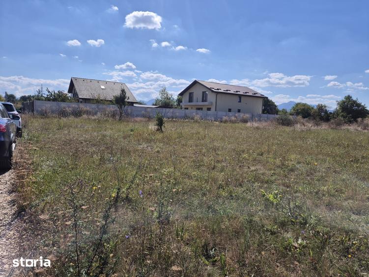 Teren intravilan- 1000mp- Harman-Brasov - 5