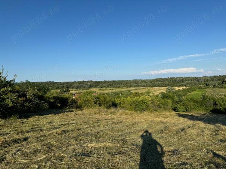 Teren de 20000 mp, în Laloșu