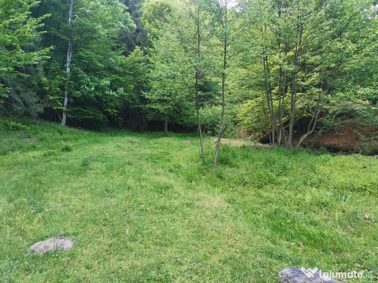 Teren de 14000 mp, în Pocruia