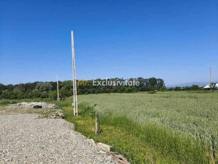 Teren agricol intravilan de 10294 mp, în Sud