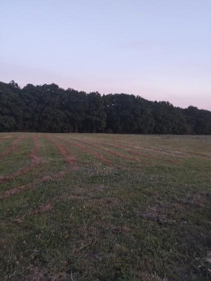 Teren Construcții extravilan de 6200 mp, în Baciu