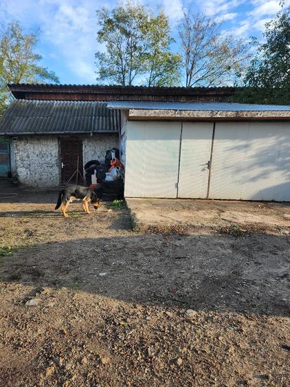 Casă cu Teren 2600 Mp în Central