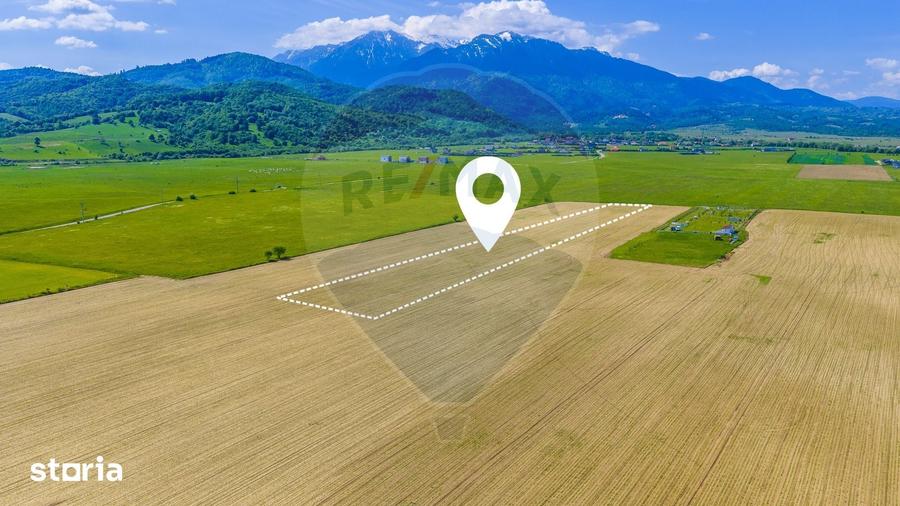 Teren de 12300 mp, în Central