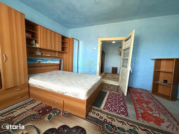 Casă cu 3 camere cu Teren 5393 Mp în Viile Satu Mare