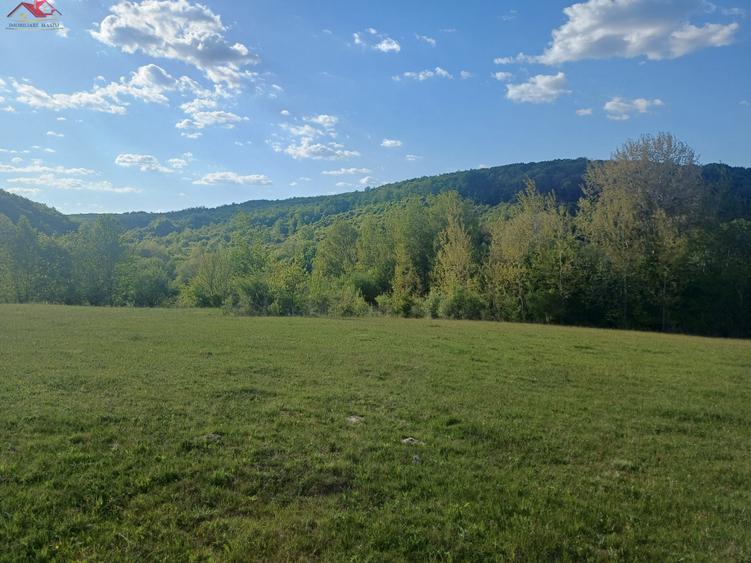 Teren agricol extravilan de 2500 mp, în Bradu