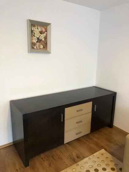 Apartament cu 3 camere decomandat, mobilat în Tineretului