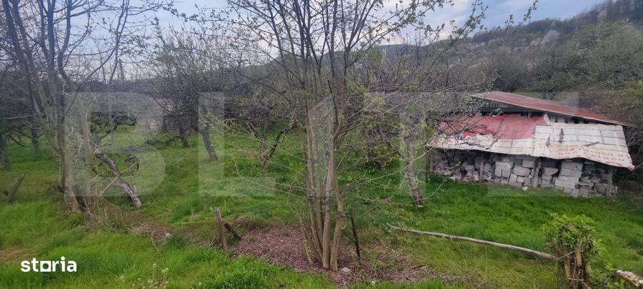 Spațiu comercial, în Gemenea-Brătulești