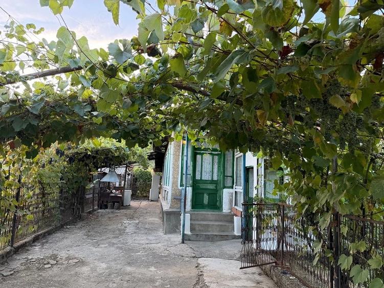 Casă cu 3 camere cu Teren 1000 Mp în Săulești