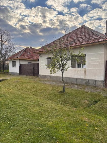 Casă cu Teren 4000 Mp în Sălbăgelu Nou