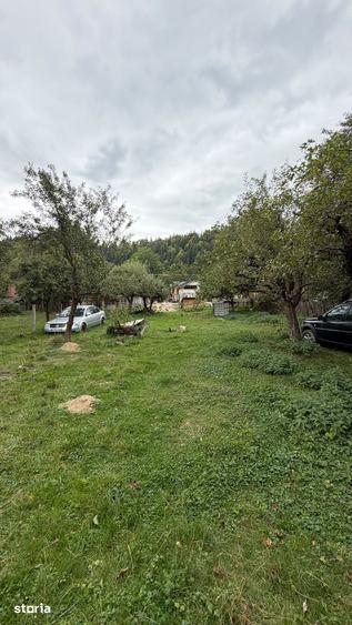 Teren 1.000 mp cu TOATE UTILITATILE - 3