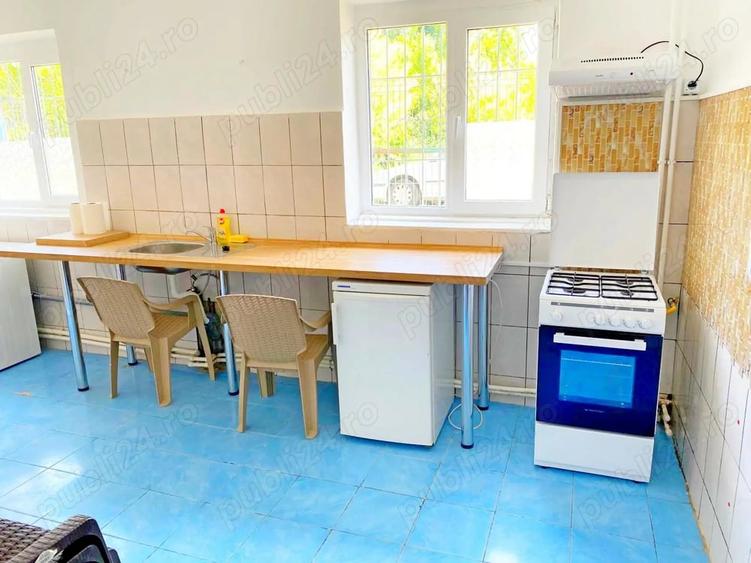 Casă cu 6 camere în Buziașului