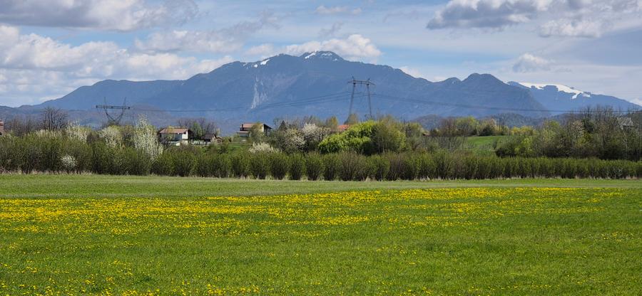 Teren Construcții intravilan de 10864 mp, în Bran