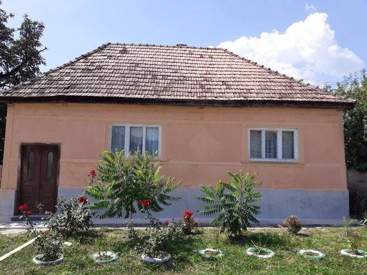 Casă cu 4 camere în Dipșa