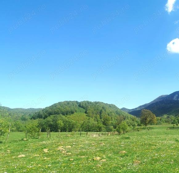 Teren de 25500 mp, în Cheile Râșnoavei