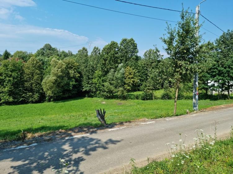 Teren intravilan 28ari, Rus - 5