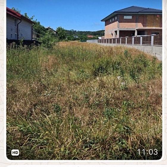 Teren agricol intravilan de 3003 mp, în Bascov