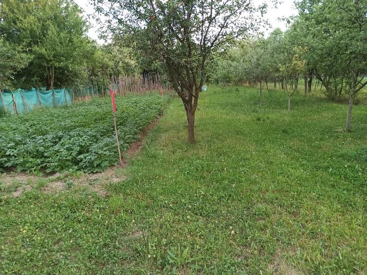 Casă cu 2 camere cu Teren 1800 Mp în Sighetu Marmației