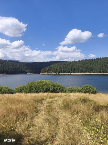 Teren de 5000 mp, în Beliș