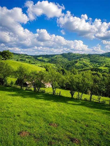 Teren Construcții intravilan de 10335 mp, în Poiana Mărului