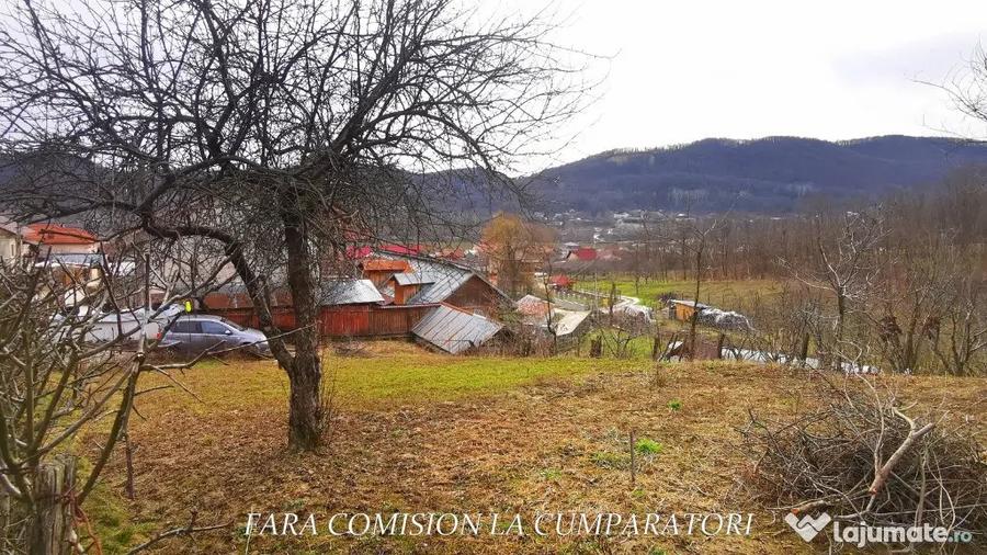 VLADESTI - LOT TEREN BINE AMPLASAT - 2