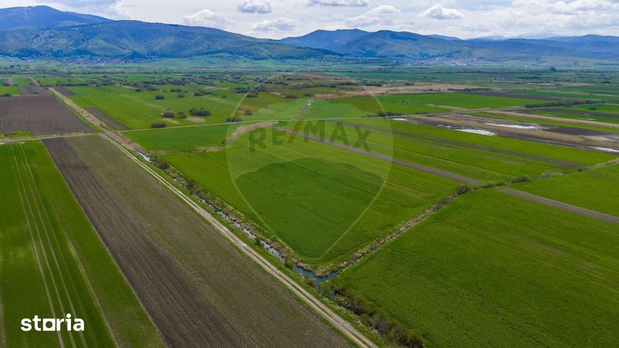 Teren de 4000 mp, în Prejmer
