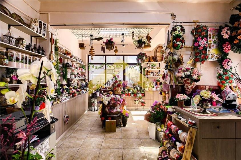 Spațiu comercial, de 128 mp, în Vladimirescu