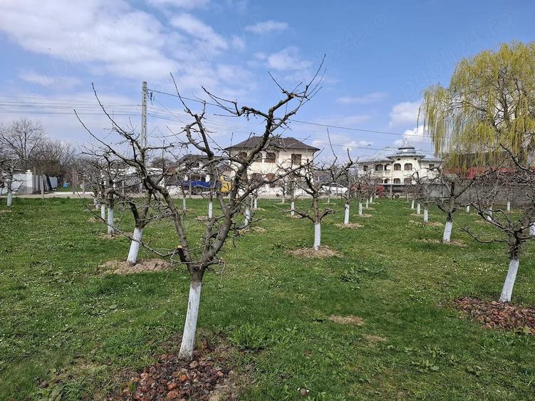 Teren de 2000 mp, în Răucești