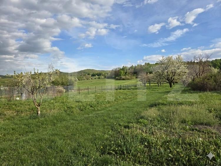 Teren Construcții intravilan de 3148 mp, în Florești