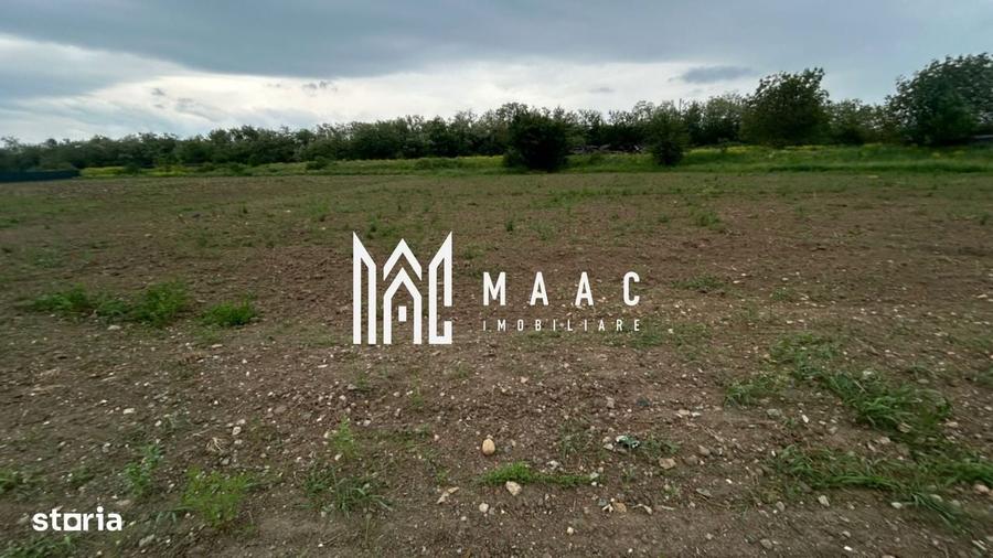 Spațiu comercial, în Șelimbăr