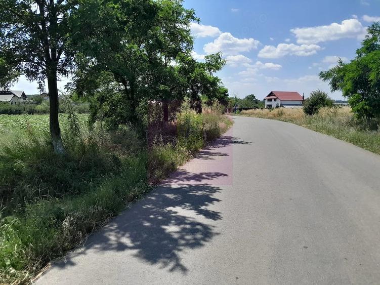 Teren de 16500 mp, în Teișori
