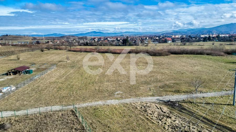 Teren Construcții extravilan de 3120 mp, în Turcheș