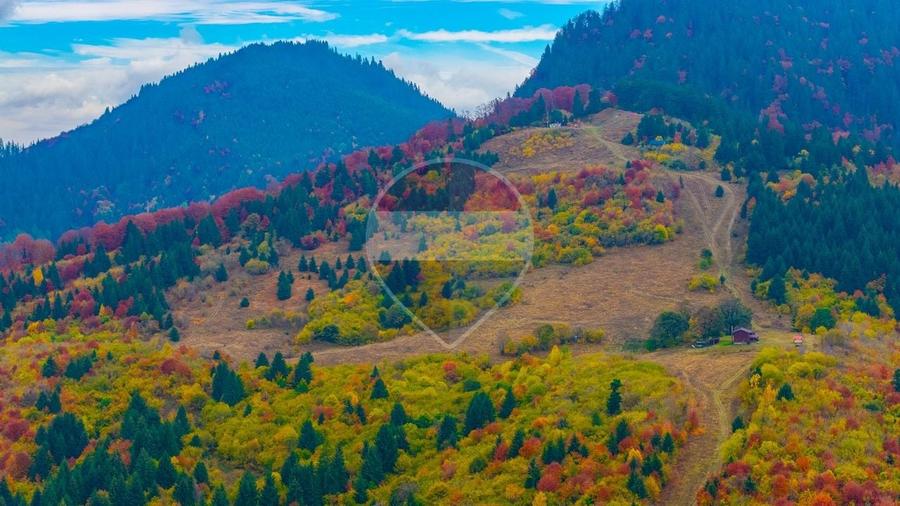Teren Construcții intravilan de 16000 mp, în Baciu
