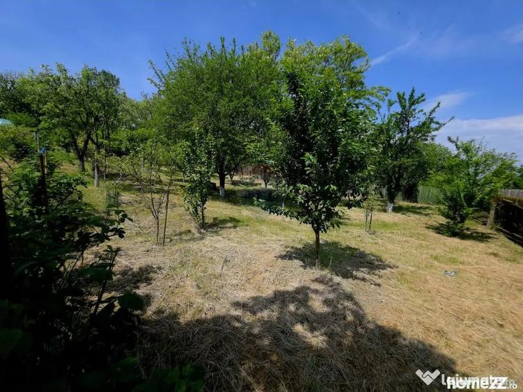 Teren de 4516 mp, în Doina