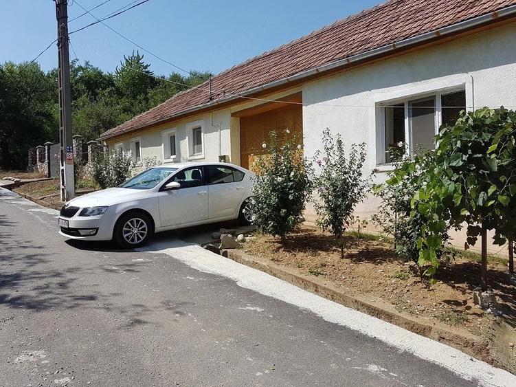 Casă cu 3 camere cu Teren 10007 Mp în Sasca Română